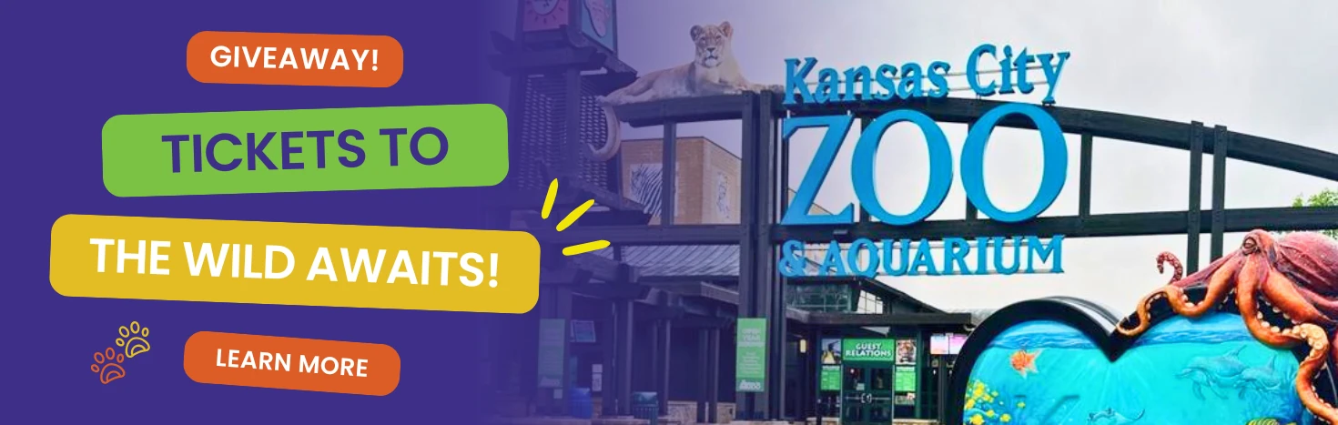 Children's Museum Giveaway KC Dentistry 4 Kids Giveaway